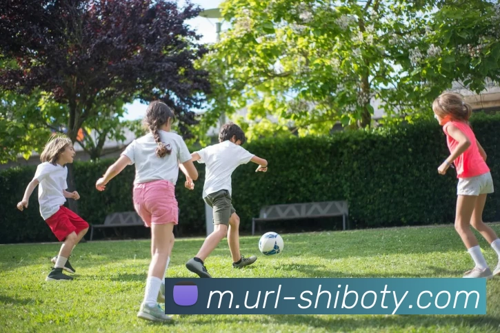 世博体育APP 封面图